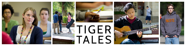 Tiger Tales