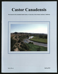 Castor Canadensis Spring 2024