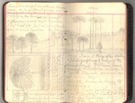 November 1911-March 1912 [Journal 77]: Trip to South America, Part III and Trip to Africa by John Muir