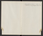 Delia Locke Diary, 1916-1918 by Delia Locke