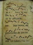 Gradual, Image 13 by Unknown