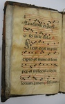 Gradual, Image 25 by Unknown