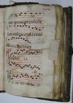 Gradual, Image 32 by Unknown