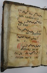 Gradual, Image 33 by Unknown