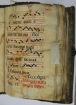 Gradual, Image 34 by Unknown