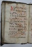 Gradual, Image 35 by Unknown