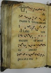 Gradual, Image 104 by Unknown