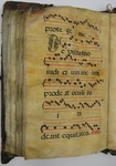 Gradual, Image 112 by Unknown