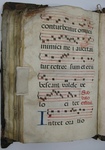 Gradual, Image 118 by Unknown