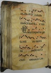 Gradual, Image 124 by Unknown