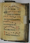 Gradual, Image 131 by Unknown