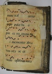 Gradual, Image 135 by Unknown