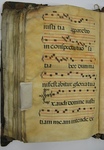 Gradual, Image 140 by Unknown