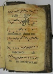 Gradual, Image 145 by Unknown