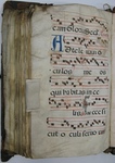 Gradual, Image 150 by Unknown