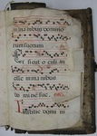 Gradual, Image 151 by Unknown