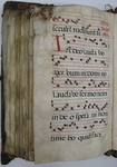 Gradual, Image 154 by Unknown