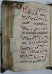 Gradual, Image 158 by Unknown