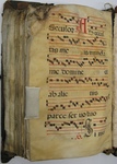 Gradual, Image 160 by Unknown