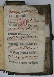 Gradual, Image 161 by Unknown