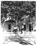 Cycling - Stockton: Three unidentified men on penny-farthing bicycles by Unknown
