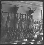Meat Industry and Trade - Stockton: Interior view of slaughter house with workmen and slabs of meat [beef] by [Lucas Papers]