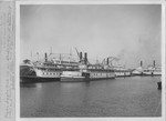 Steamboats-Stockton-out of commission steamers "Reform," "Fort Sutter of San Francisco," and unidentified steamers by Van Covert Martin