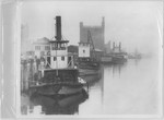 Steamboats-Stockton-steamboats "Ellen" and Cricket" docked at head of Stockton Channel, Golden Gate and Union Mills by Van Covert Martin