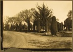 Stockton - cemeteries: unidentified cemetery by Van Covert Martin