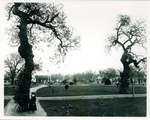 Stockton - Parks: Eden Square Park, soon after opening by Van Covert Martin