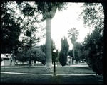 Stockton - Parks: Park in Stockton by Van Covert Martin