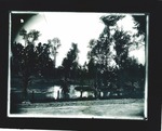 Stockton - Parks: Park in Stockton along pond by Van Covert Martin
