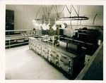 Stockton - Restaurants, Lunch Rooms, etc: Restaurant kitchen by Van Covert Martin