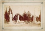 Stockton - Sepulchral Monuments: Stockton Rural Cemetery Woodhull and Kramer Marble and Granite Monuments by Unknown