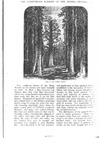 Coniferous Forests of the Sierra Nevada. I. by John Muir