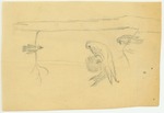 Animals - Three Birds in Tree by John Muir