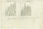 Sierra Nevada - Geology - Charts, Diagrams, etc. - Illustrating Pinnacle Formation by John Muir