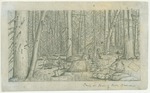 Yosemite National Park - Camps and Camping - Camp at Foot of Mt. Dana by John Muir
