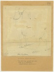 Animals - Ram - Ovis Montana by John Muir