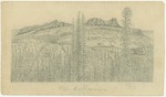 Yosemite National Park - Mount Hoffmann by John Muir