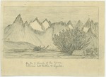 Sierra Nevada - On the Eastern Flank of the Sierra Between Mounts Ritter and Lyell by John Muir