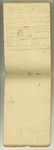 August-September 1877, Cinder Cone Sketches, etc. Image 14 by John Muir