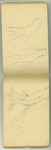 August-September 1877, Cinder Cone Sketches, etc. Image 15 by John Muir