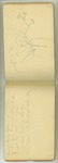 August-September 1877, Cinder Cone Sketches, etc. Image 16 by John Muir