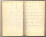 September-October 1878, Notes of Travel on the East Side of the Sierra Image 21 by John Muir