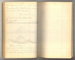 September-October 1878, Notes of Travel on the East Side of the Sierra Image 38 by John Muir