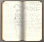 June-September 1888, Trip with Parry to Lake Tahoe Image 23 by John Muir