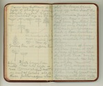 August-October 1911, Trip to South America, Part I Image 52 by John Muir
