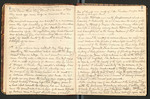 Alaska Notes, Summer of 1880, 1880 [ca. 1895], Image 3 by John Muir