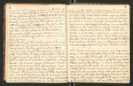 Alaska Notes, Summer of 1880, 1880 [ca. 1895], Image 4 by John Muir